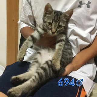 管理番号：OS−694