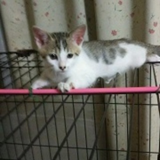 ★赤い糸のご縁をお待ち致しますm(__)m