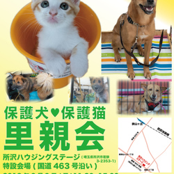 所沢ハウジング犬猫里親会