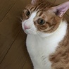 モモアン