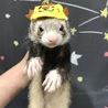 の写真