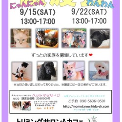 わんわん譲渡会★in岐阜市