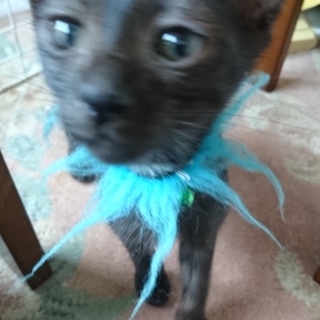 ありがとうございました❗