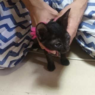 ありがとうございました❗