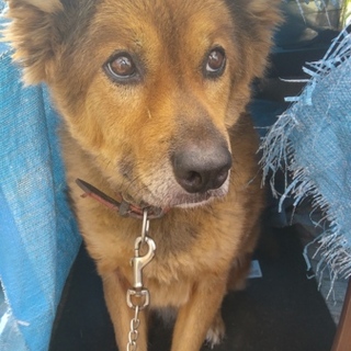 助けて下さい。