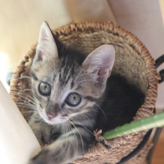 とても愛らしい女の子です♪