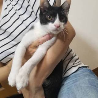 元気いっぱいクレーくん(=^ェ^=)♡