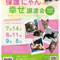 保護にゃん達の幸せ譲渡会in大和高田市