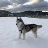 の写真