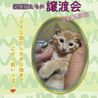 里親さん募集しています サムネイル3