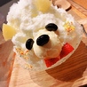 SHIHO(*´꒳`*)