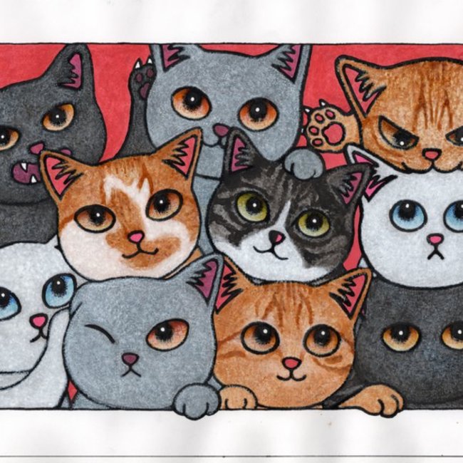 あきこやまのカバー写真