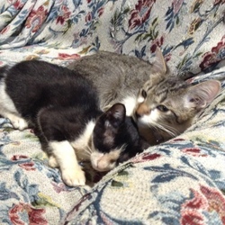 どうか届きますように。