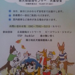 犬と猫の譲渡会