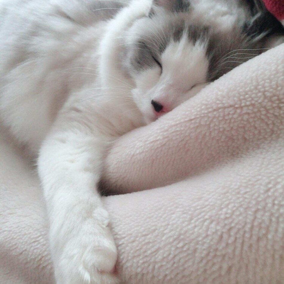 エマのカバー写真