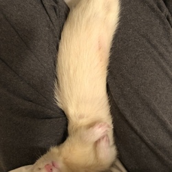 「癒しに感謝」サムネイル2