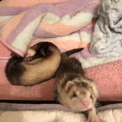 「癒しに感謝」サムネイル3