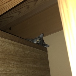 「無事、終わりました。」サムネイル1