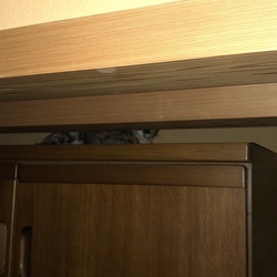 「無事、終わりました。」サムネイル2