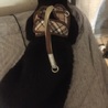 里親決定！ありがとうございました   美黒猫 サムネイル4