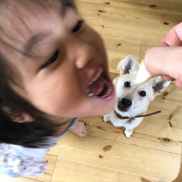 弱肉強食…