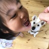 弱肉強食…