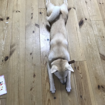 のびのび〜〜