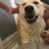 シャワーを浴びて…ウィンク！