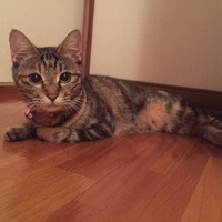 みぃ