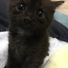 生後2ヶ月ごろ