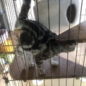 素敵な飼い主さんに出会えて感謝します！