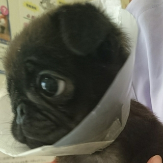 幸せになりました ありがとうございます