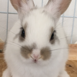 ありがとうございました✨