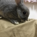 新しい家族が決定しました