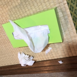 今朝の出来事