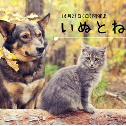 いぬとねこ