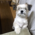 SOSお願いします！