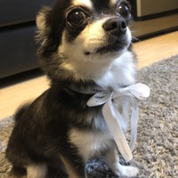 愛