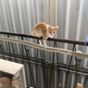 イタズラばれた……