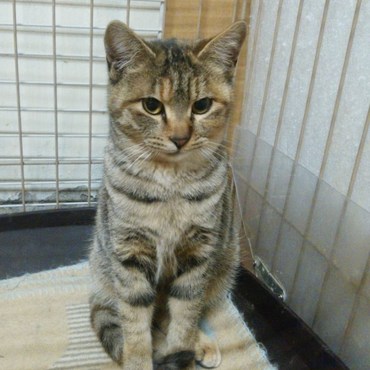 の写真