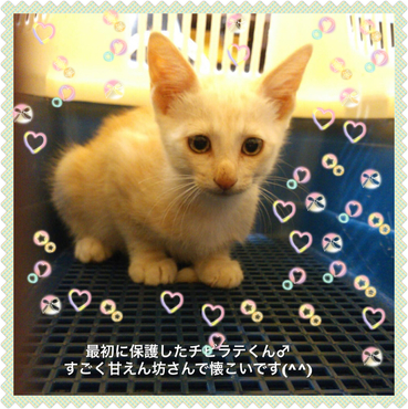 の写真