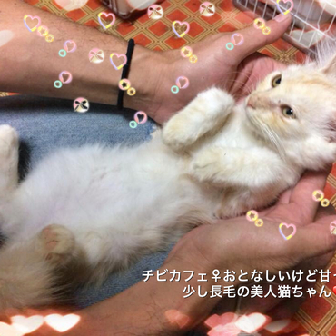 の写真