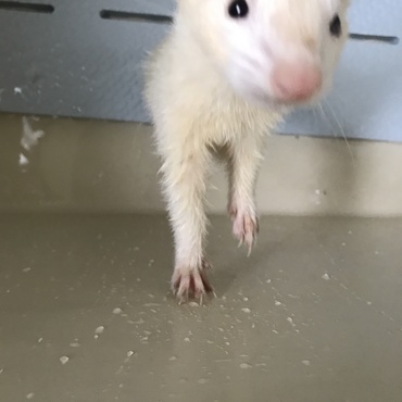の写真
