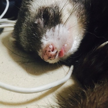 の写真