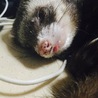 の写真