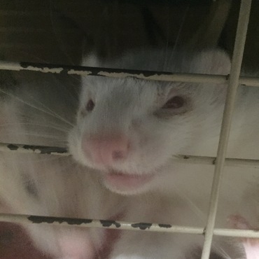 の写真
