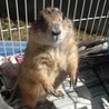 の写真