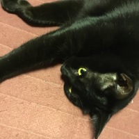 バーム
