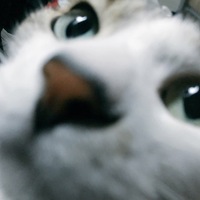 むつみ