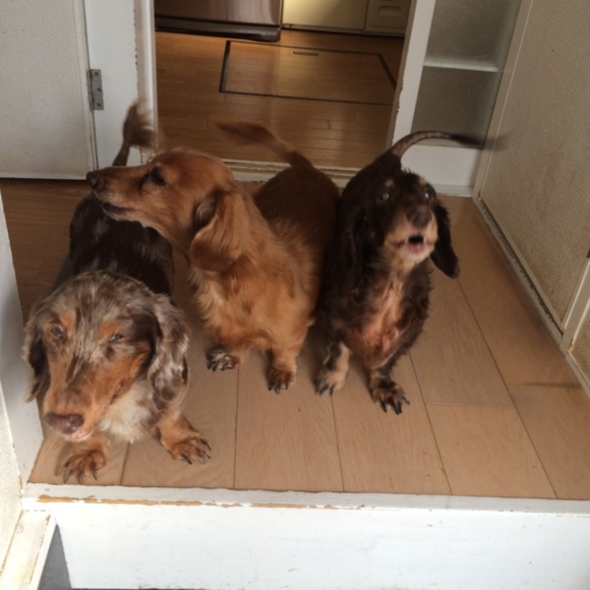 和順のカバー写真